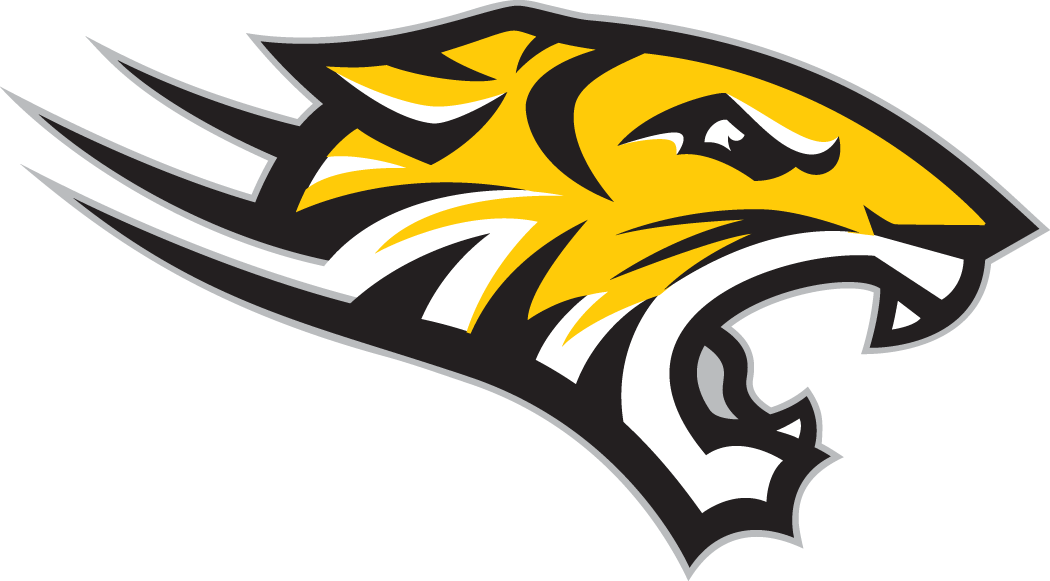 Towson Tigers 2004-Pres Alternate Logo v4 iron on transfers for clothing